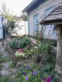 Продам будинок у самому центрі Нової Водолаги.