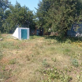Будинок у с. Повстин