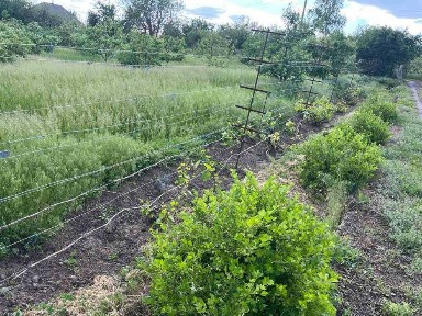 Продаж цегляного будинку у мальовничому куточку с. Деньги