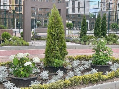 Под Ресторан, Клинику, Нотариат. Коммерция 130 кв. м. Кадорр Краснова