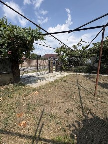 Закарпатська область, Підвиноградів