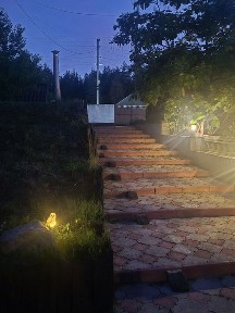 Дім біля соснового лісу с. Левківка, Чемужівка, Зміїв, Ліс, Зміївський район