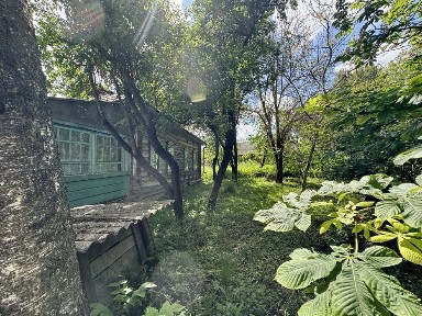 Будинок, хата в селі, Дача будиночок не дорого біля ставка