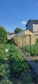 АН ОСЕЛЯ пропонуе дачу в Поронівке