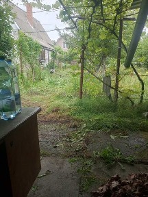 Продається будинок з ділянкою (Дача) Київська обл. Бородянський р-н. с. Загальці
