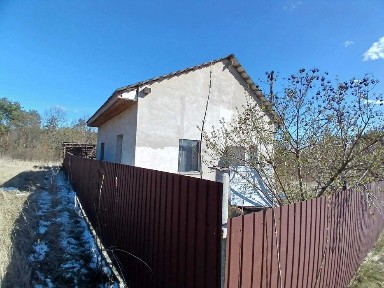 Київська область, Музичі