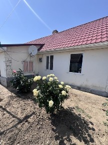 Дальник, Дружбы 66