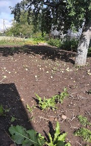 Продам будинок в м. Рожище