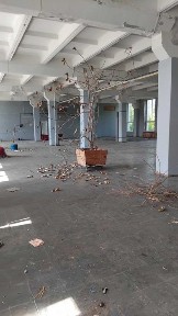 Оренда Укртелеком! 826,40 м²; Верхньодніпровськ, вул. Кам'янська, 8