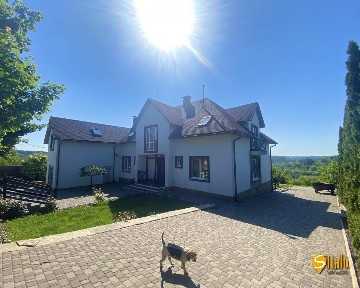 Київська область, Великі Дмитровичі