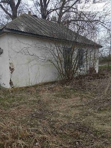 Здається спеціальне приміщення на Мисюка 84А, площа 64.1 кв. м • ID 34513327
