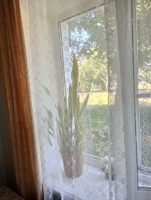 Двокімнатна квартира на першому поверсі