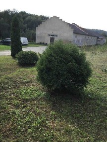 Складський комплекс 800 м² + 1 га території