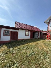 Надзвичайно велике господарство в селі Костинці