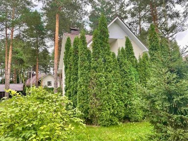 Капітальний будинок 168.5 м² серед соснового лісу в тихому місці, м. Васильків