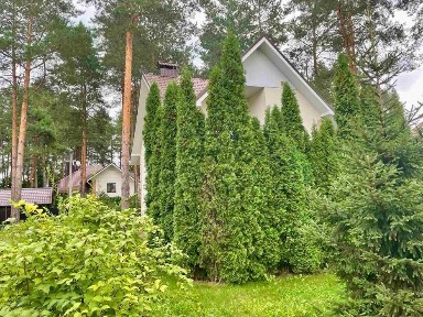 Капітальний будинок 168.5 м² серед соснового лісу в тихому місці, м. Васильків