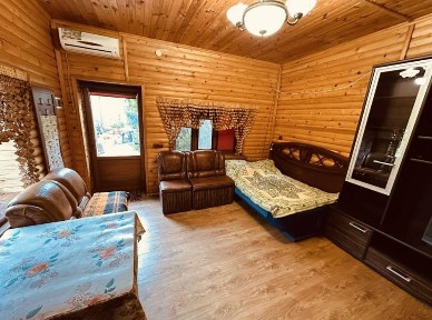1 Кімнатний Будинок в Центрі. Пров. Спускний.