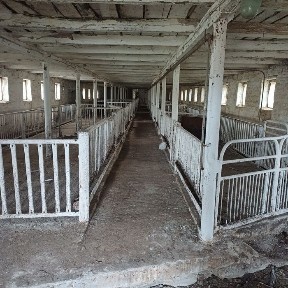 Оренда ферма, корівник, свинарник, пташник, ферма