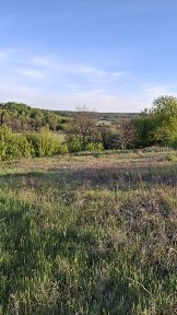 Продам старий будинок с. Хлепча