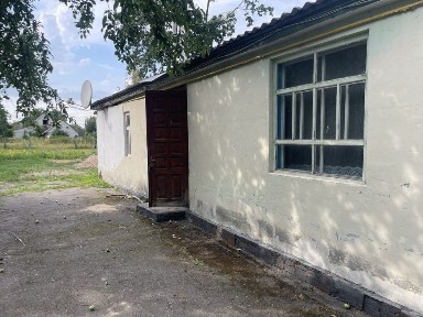Київська область, Хоцьки