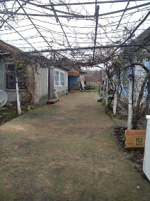 Одеська область, Кучурган