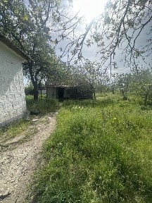 Дніпропетровська область, Єлизаветівка
