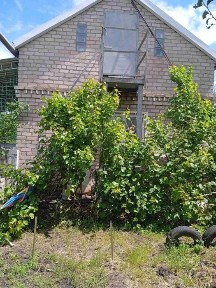 Продам дом-дачу для круглогодичного проживания, 36 м2