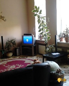 Продажа дома 241 м²