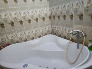 Київська область, Петропавлівська Борщагівка