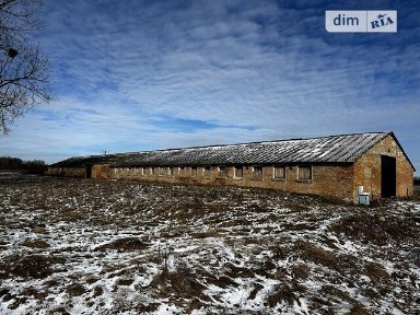 вулиця Центральна, Високе, вулиця Центральна 1А, площа 801.9 кв. м • ID 29240122