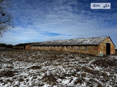 Продаж спеціального приміщення на вулиця Центральна 1А, площа 801.9 кв. м • ID 29240122