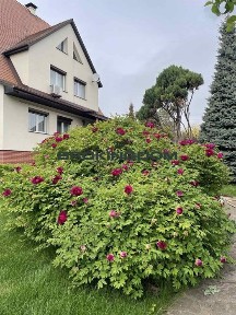 Продаж маєтку 430 м2 повна автономія з критим басейном Крюківщина, Київська обл