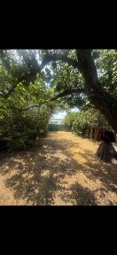 Одеська область, Черевичне