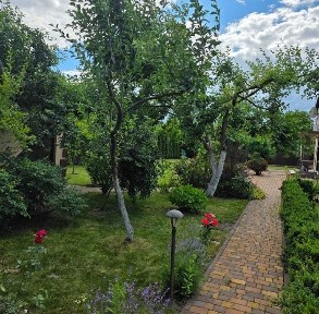 Київська обл., Васильківський район, с. Мала Солтанівка, Піщана