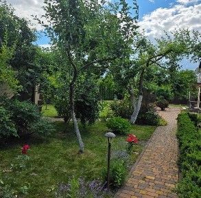 Київська обл., Васильківський район, с. Мала Солтанівка, Піщана