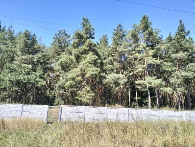 Київська обл., Білоцерківський район, с. Томилівка, Лісова