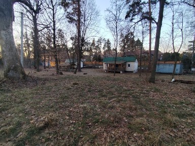 Черкаська область, Сокирна