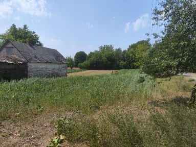 Продам будинок та земельну ділянку