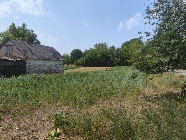 Продам будинок та земельну ділянку