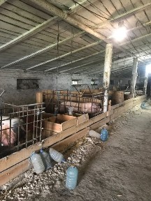 Харківська область, Берестин