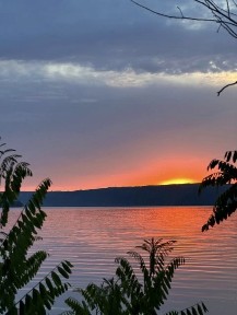 Оренда екобудинку на березі р. Дністер. 20м до води. Лоджія на воду‼️
