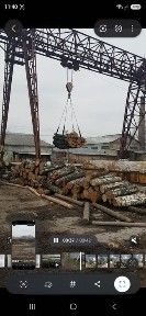 Чернівецька область, Новоселиця