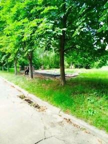 Оренда мафу вул. Академіка Ефремова 11, нова конструкція, объект через Прозоро, Без комісії