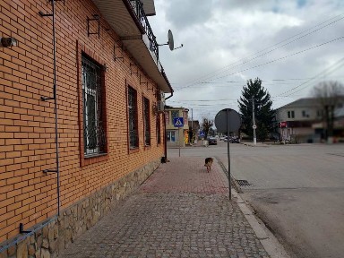 Продаж комерційного приміщення м. Овруч (ЦЕНТР)