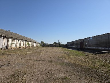 Продаж комплексу ферми 6600м2. 20хв від Житомира. 8га.