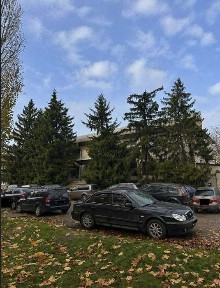 ПРОДАЄТЬСЯ будівля у Новій Одесі у самому ЦЕНТРІ міста. Ідеальний варіант під комерційну діяльність