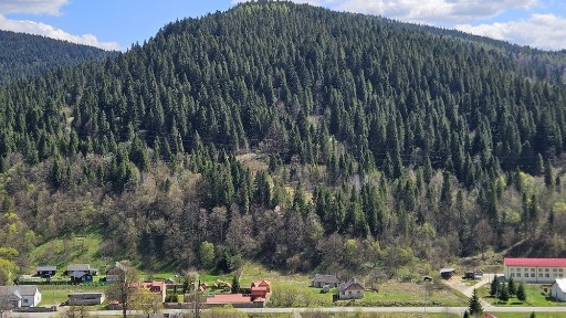 Здається в оренду Садиба під Дім Пристарілих або Реабілітаційний центр