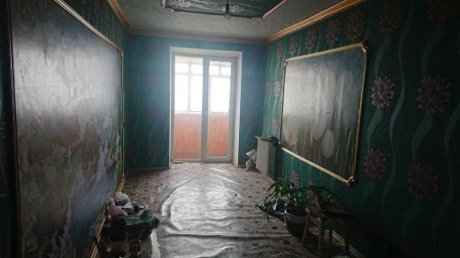 Київська область, Бориспіль