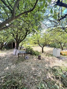 Віта Поштова дача біля лісу СТ Райдужний Підвал