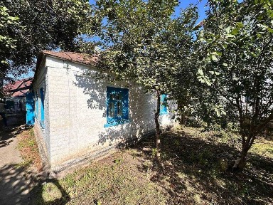 Київська область, Біла Церква